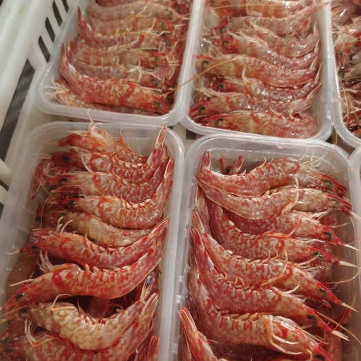 饶平县活冻樱花虾