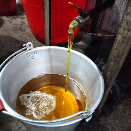 柳州融水高山茶油