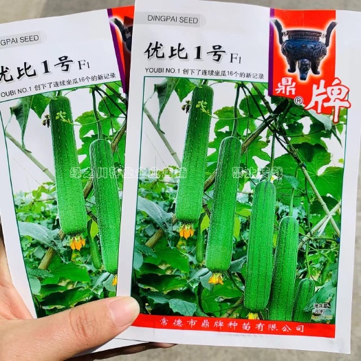 沭阳县鼎牌优比1号丝瓜种子连续坐瓜特强清香味甜香丝瓜种籽特早熟水瓜