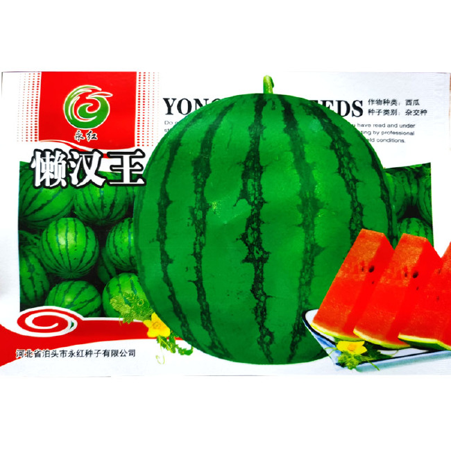 懒汉西瓜种子  特大抗重茬懒汉王 西瓜籽 巨型南北方种植超甜