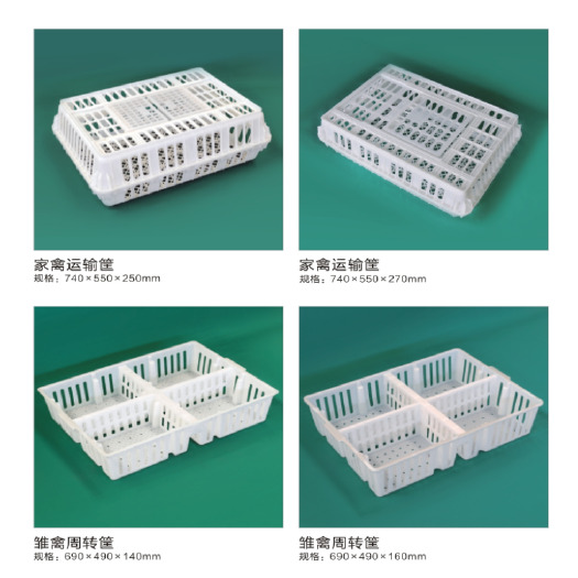 诸城市成鸡运输筐 加厚周转筐 鸡鸭用运输笼工厂直销量大从优
