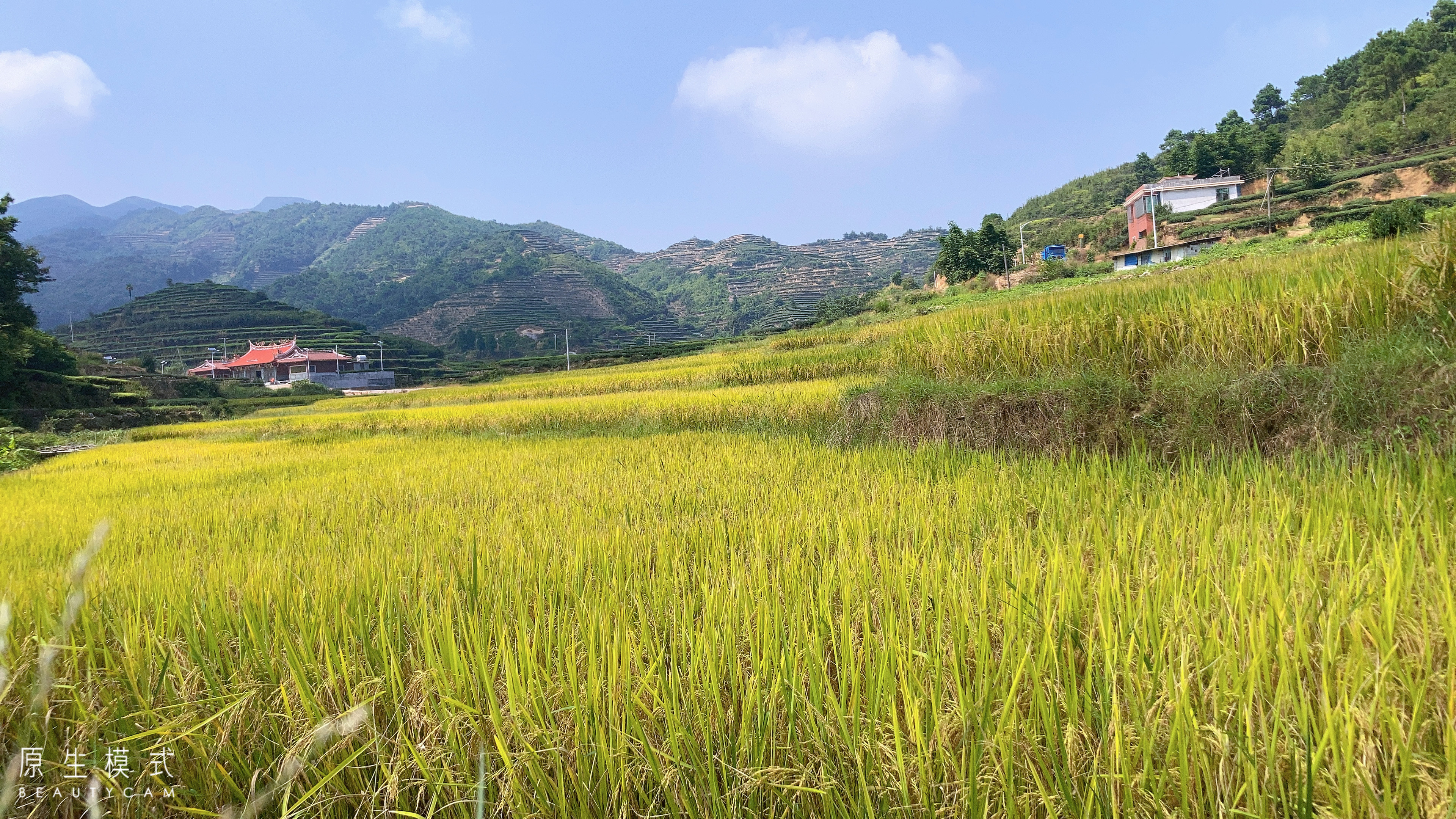 穎川紅優(yōu)質(zhì)高山農(nóng)家大米煮飯煮粥都好吃