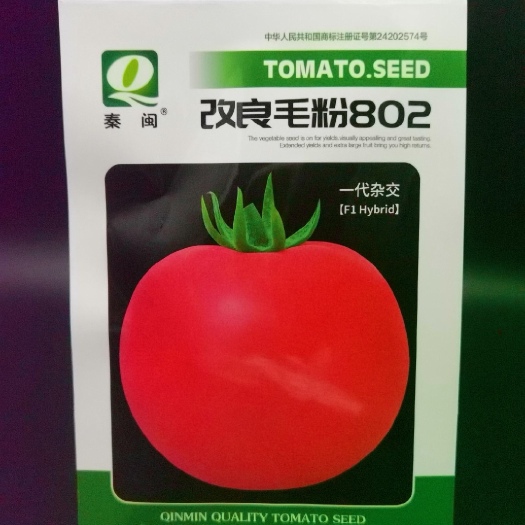 改良毛粉802大西红柿种子春秋农户老品种粉果大番茄种子