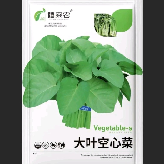 大叶空心菜种子四季盆栽春季蔬菜种籽孑菜籽菜种南方水上籽种