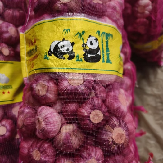 中牟县今年紫皮鲜蒜精加工，有量的客户联系我