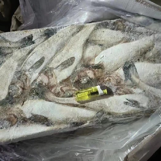 珲春市俄罗斯狭鳕鱼明太鱼25+带头