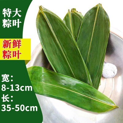 金华新鲜粽叶  大号  50片 /100片
