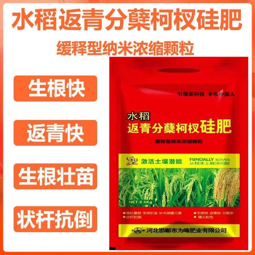 水稻硅肥返青肥分蘖肥纳米缓释颗粒抗倒促分颗粒饱满分蘖肥料