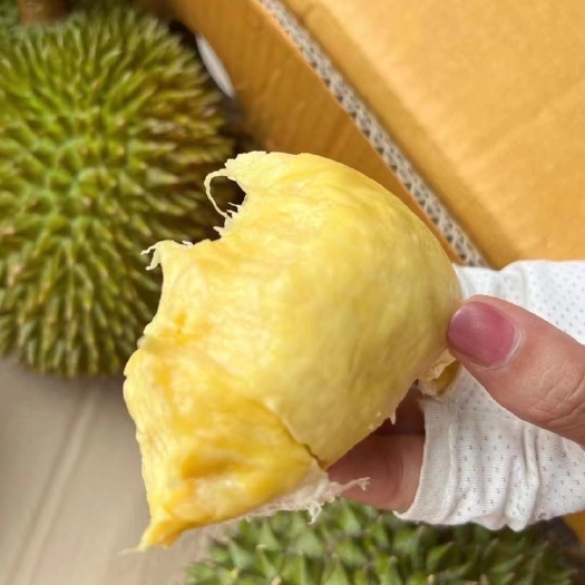 深圳￼泰国长柄鲜果榴莲