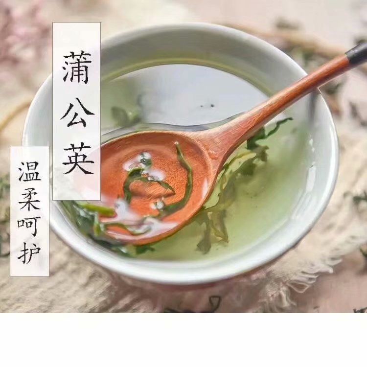 蒲公英茶 蒲公英100g/瓶