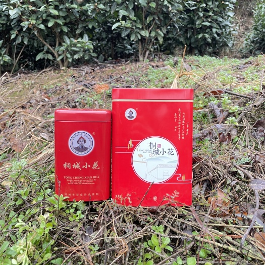 桐城市【桐城小花】2023新茶，茶园直发