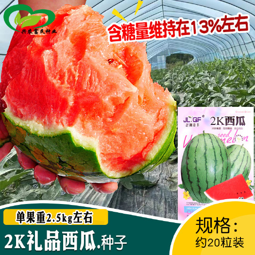 2K礼品西瓜种子农田菜园基地水果薄皮手掰高糖西瓜早熟红瓤