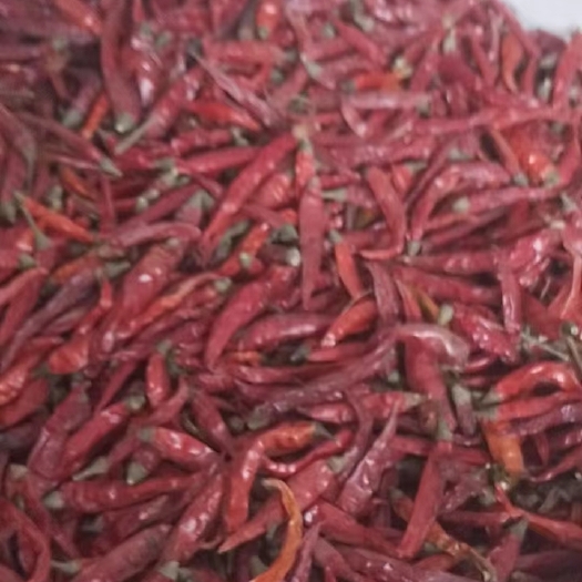 睢县艳红小辣椒，出了名的香辣有味