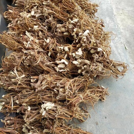 钟山县五指毛桃  干品