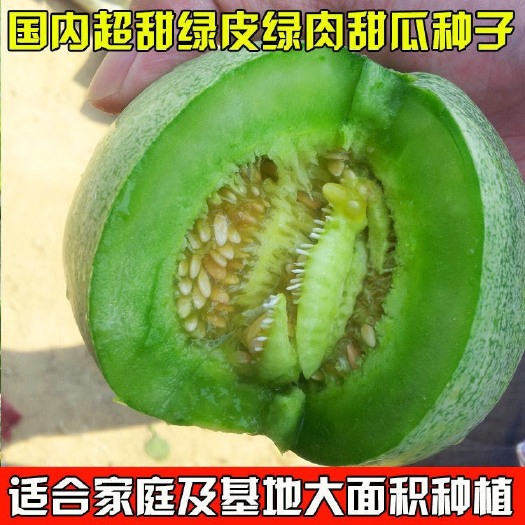 邵东市绿宝石甜瓜种子薄皮超甜香瓜种子春季四季脆瓜早熟香瓜籽