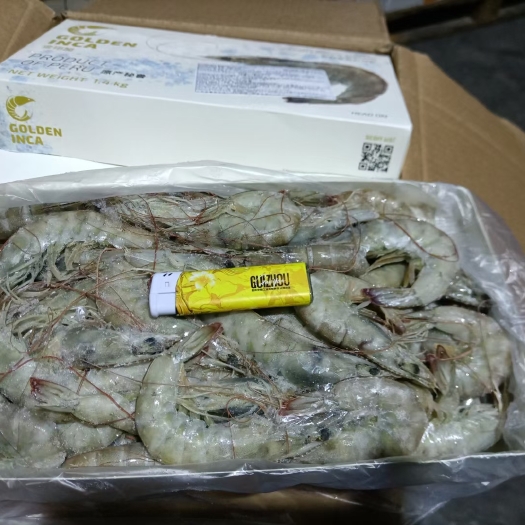 中牟县秘鲁青虾