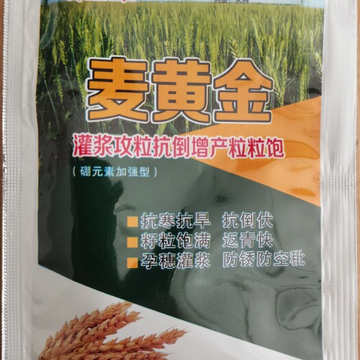 郑州麦黄金