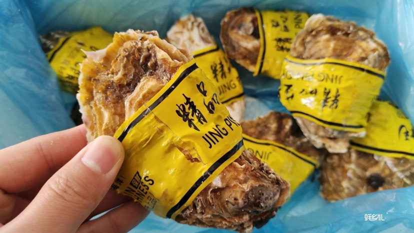 自有养殖海区，做精品，5斤10斤乳山生蚝一箱代发！不发整车