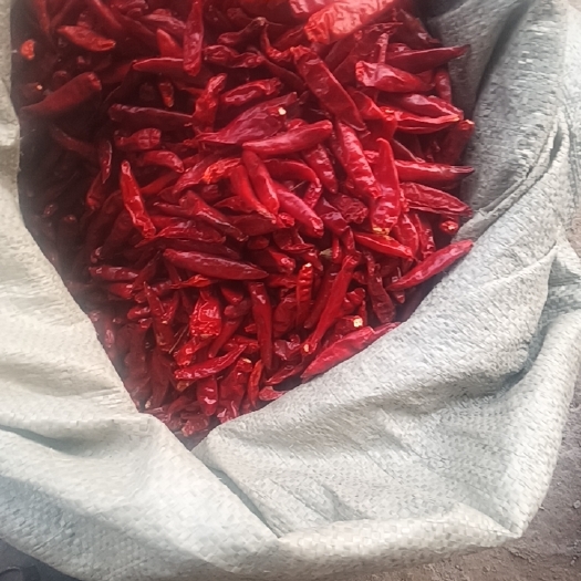 萧县新一代干辣椒，自家种植，自然风干欢迎光临
