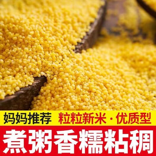青龙县农村特产米脂黄小米宝宝月子米五谷杂粮油小米粥膳食粗粮