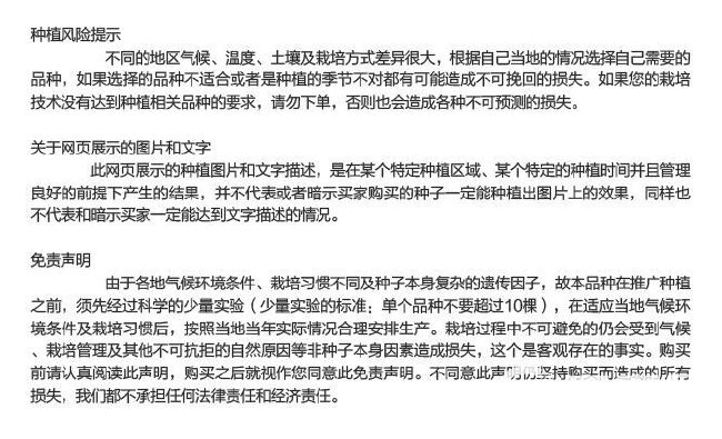 龙盛红火2号红尖叶香莴笋种子青红色耐寒抗热肉脆味香春秋蔬菜子