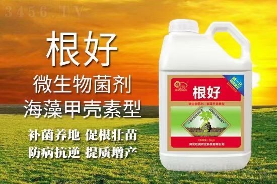 石家庄微生物菌剂-根好