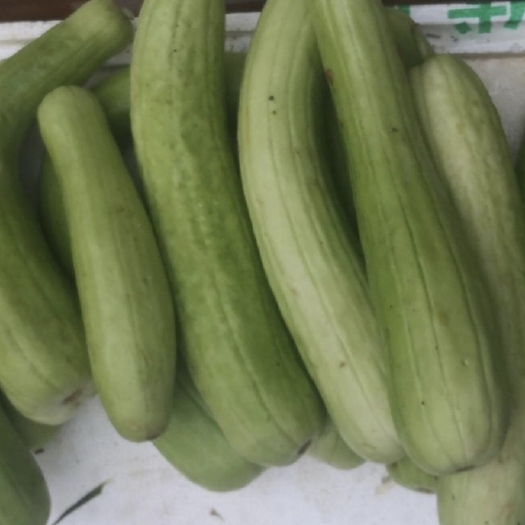 菜瓜，顾名思义，做菜之瓜，非香瓜西瓜哈密瓜类果品