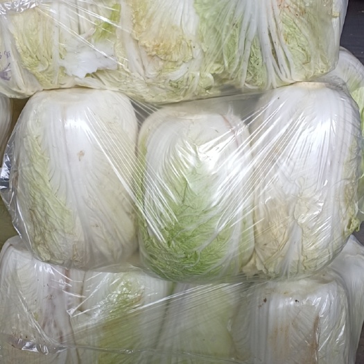 西安白菜甘蓝100万斤清库，欢迎骚扰