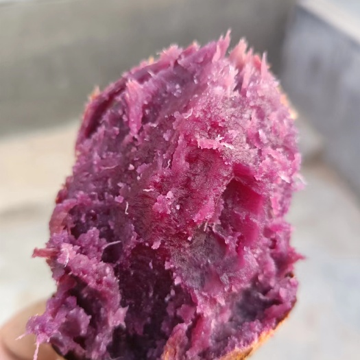 莒南县山东临沂莒南，大量供紫薯精品电商货，以及商超加工货，