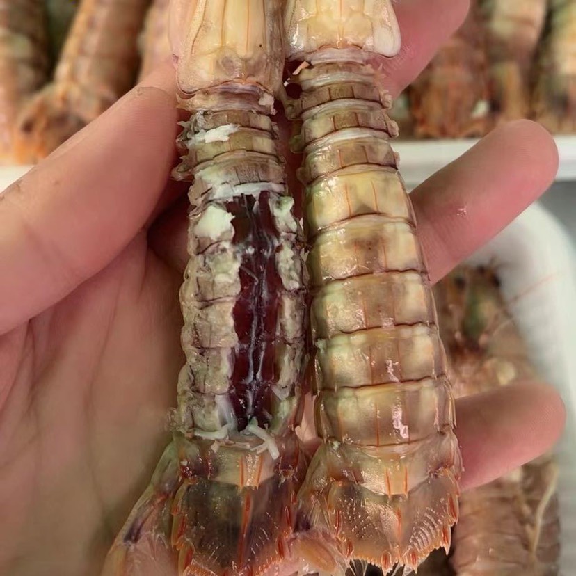 连云港熟冻带膏大皮皮虾生冻皮皮虾大虾爬大虾婆大琵琶虾自助餐专用