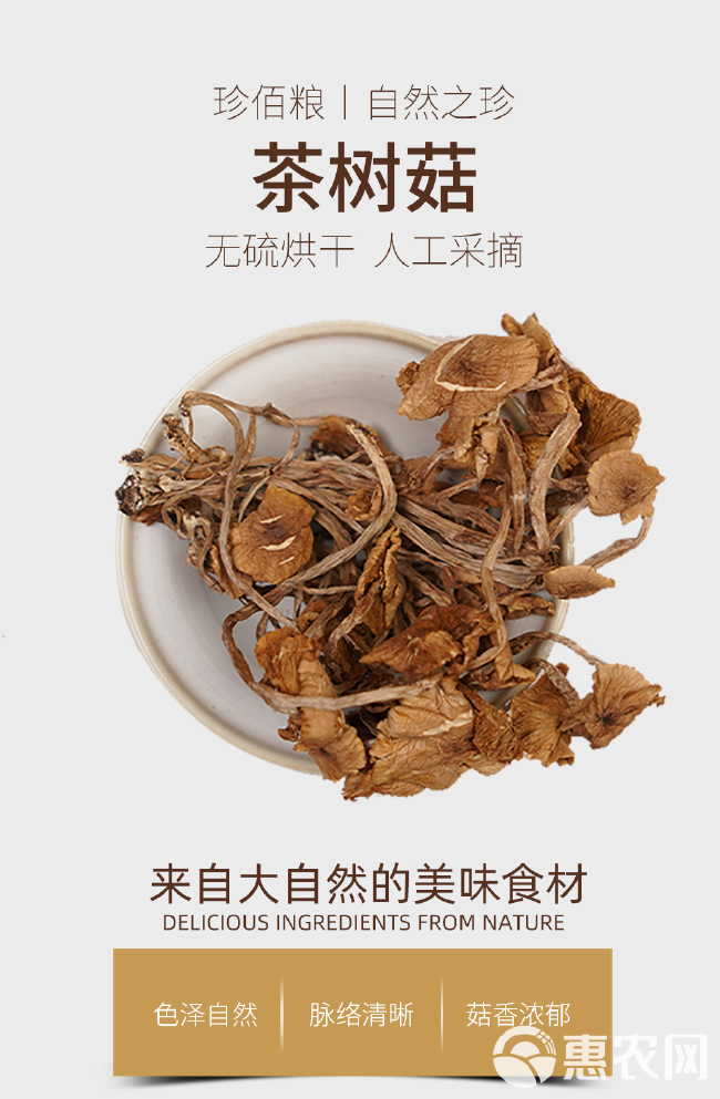 珍佰粮茶树菇130g/袋 福建特产 茶树蘑菇 煲汤炒菜火锅食