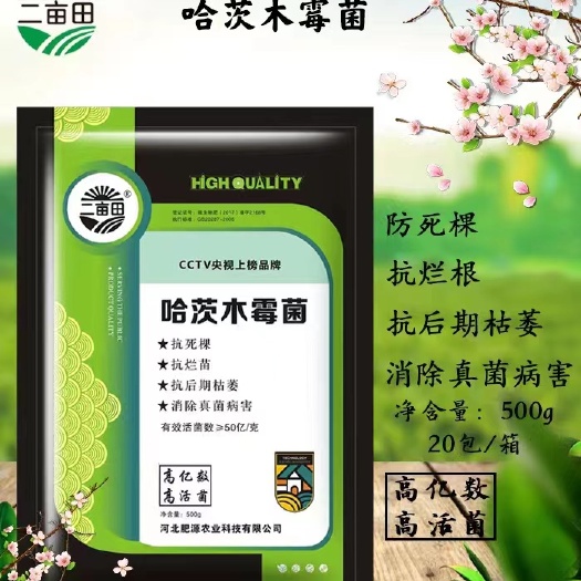 邯郸哈茨木霉菌