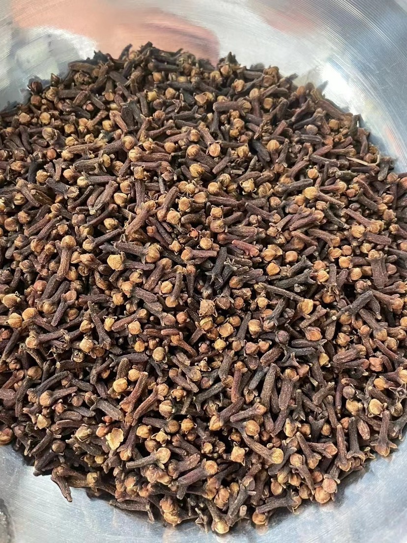 玉林丁香足干调味料火锅底料量大从优