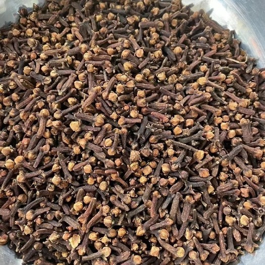 玉林丁香足干调味料火锅底料量大从优