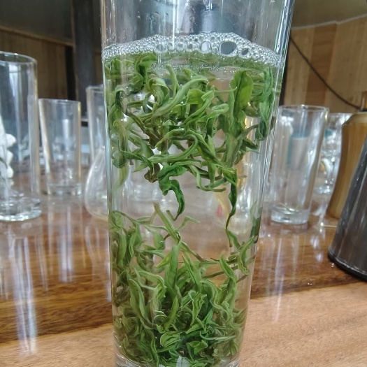 巴东县湖北恩施绿茶2023新茶高山绿茶毛尖芽毛尖毛峰茶