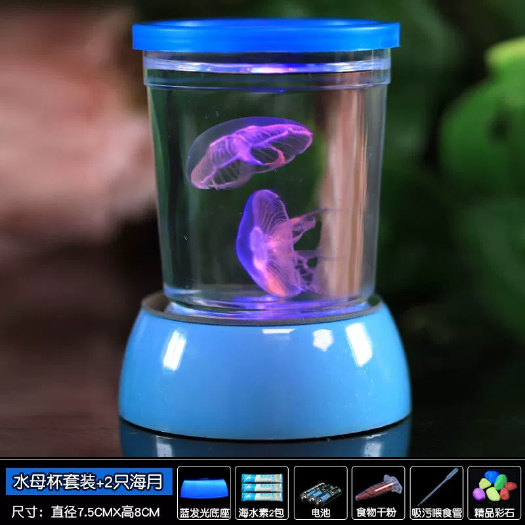 地摊网红产品水母网红海月赤月水母批发活体观赏宠物江湖批发摆摊