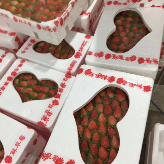 徐州奶油草莓