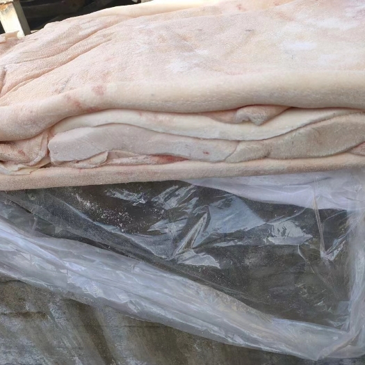 临沂猪皮母猪大皮新货无油无毛