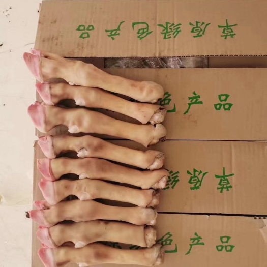 锡林浩特内蒙古锡林郭勒草地羊蹄