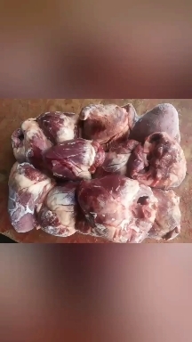 商丘母猪心