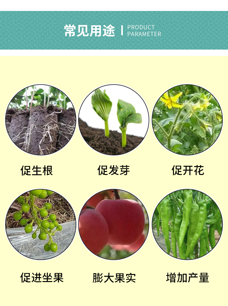 1.8%復(fù)硝酚鈉果樹花卉蔬菜促生根壯苗花芽分化花芽分化解藥害