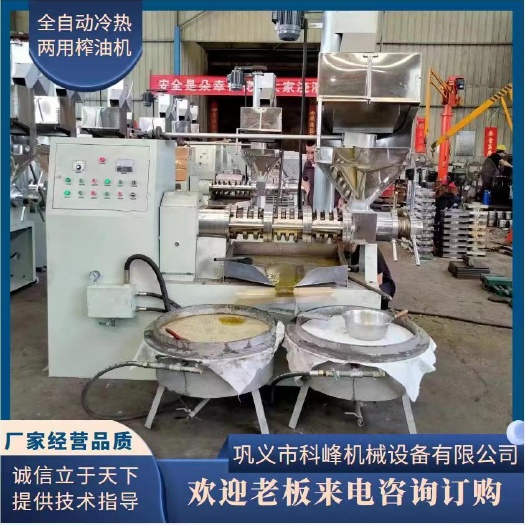 全自动上料花生菜籽大豆榨油机冷热两用多功能核桃茶籽胡麻榨油机