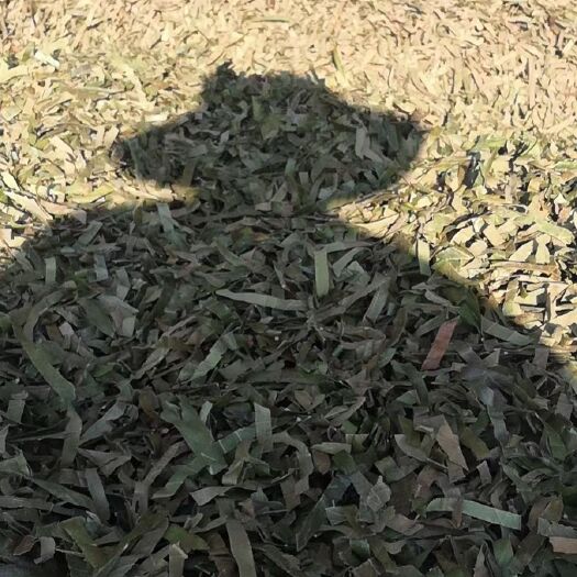 蒙自市枇杷叶