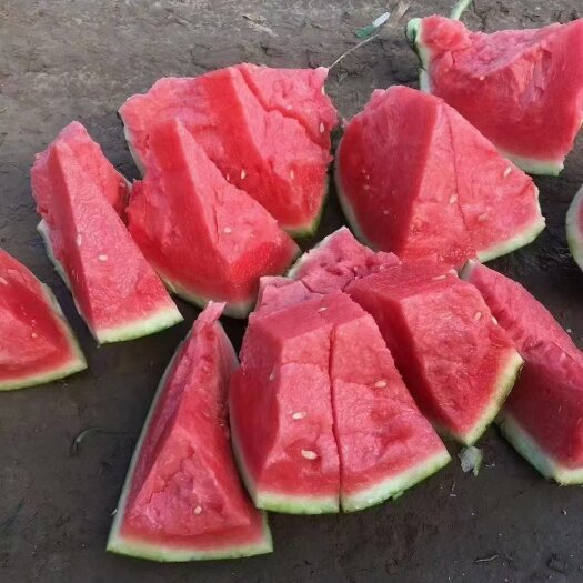 中卫麒麟西瓜