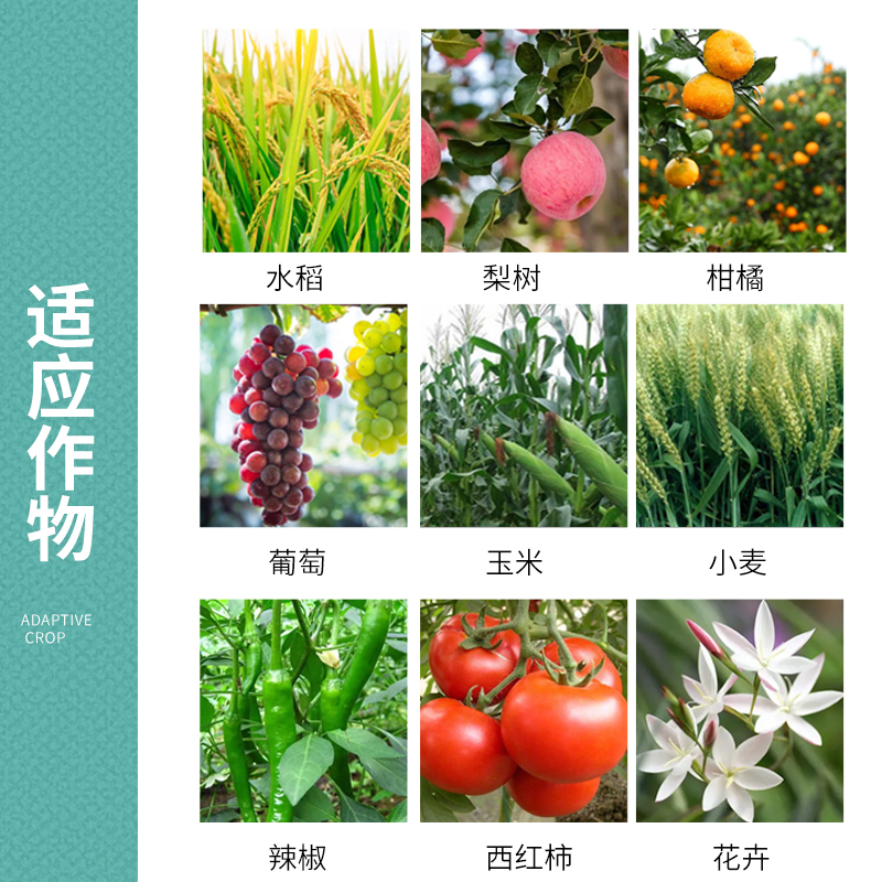 1.8%復(fù)硝酚鈉果樹花卉蔬菜促生根壯苗花芽分化花芽分化解藥害