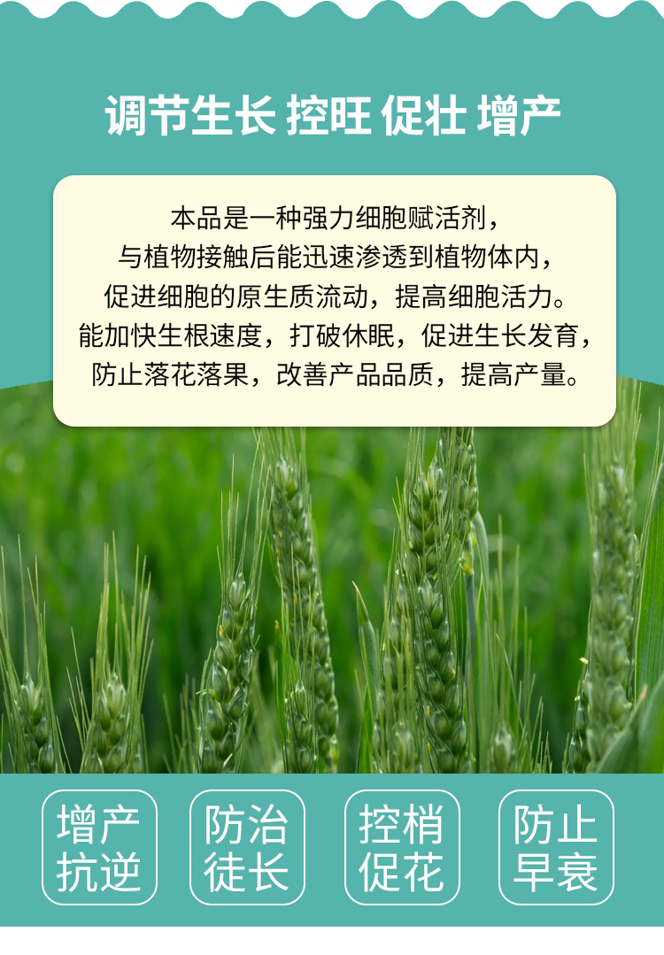 1.8%復(fù)硝酚鈉果樹花卉蔬菜促生根壯苗花芽分化花芽分化解藥害