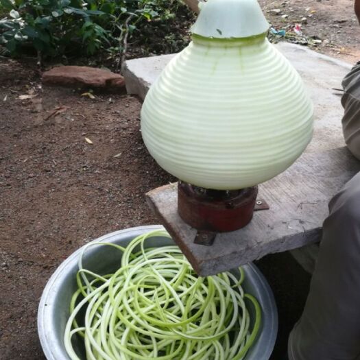 青龙县全干细葫芦条干菜农村特产葫芦丝半干宽葫芦包邮农家自晒短葫芦条