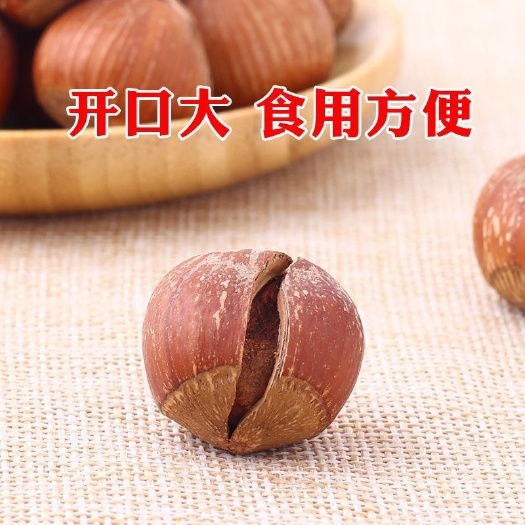 新货大榛子野生榛子原味新鲜特大水仁特产坚果批发