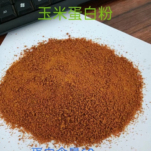 正定县蛋白粉