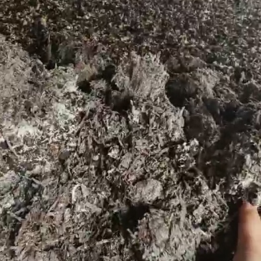 建湖县双孢菇菌渣